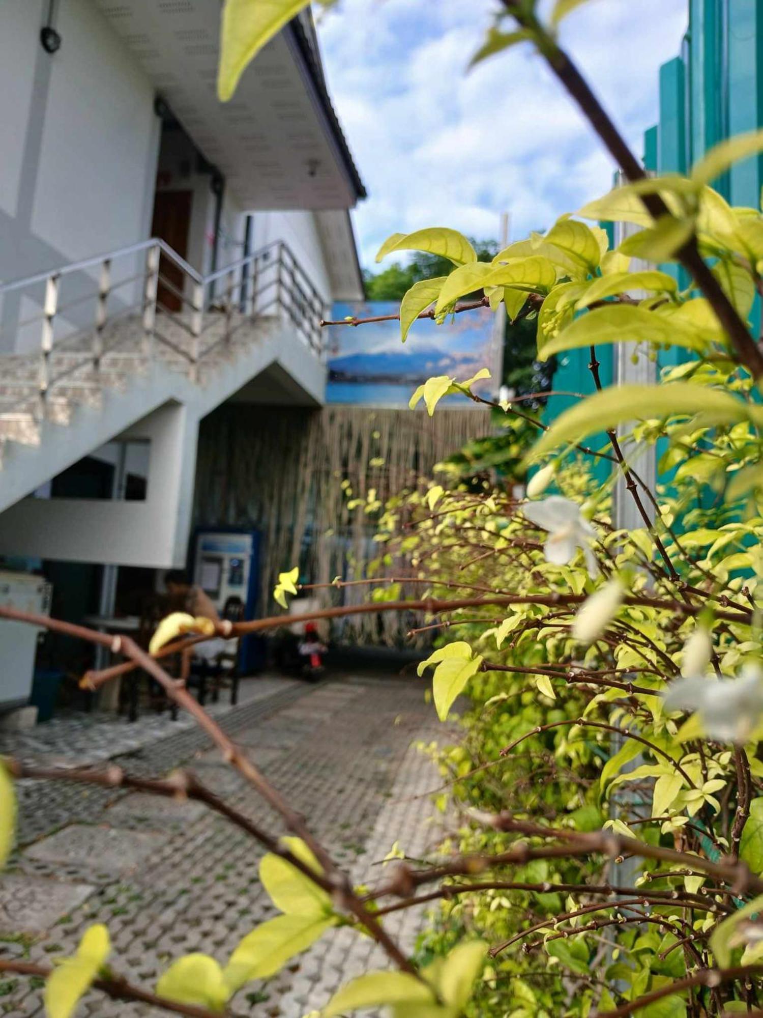 Sakura House Vandrehjem Chiang Mai Eksteriør billede