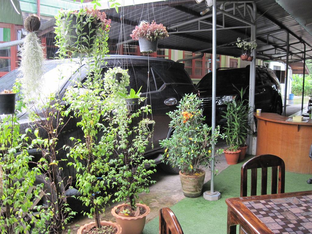 Sakura House Vandrehjem Chiang Mai Eksteriør billede