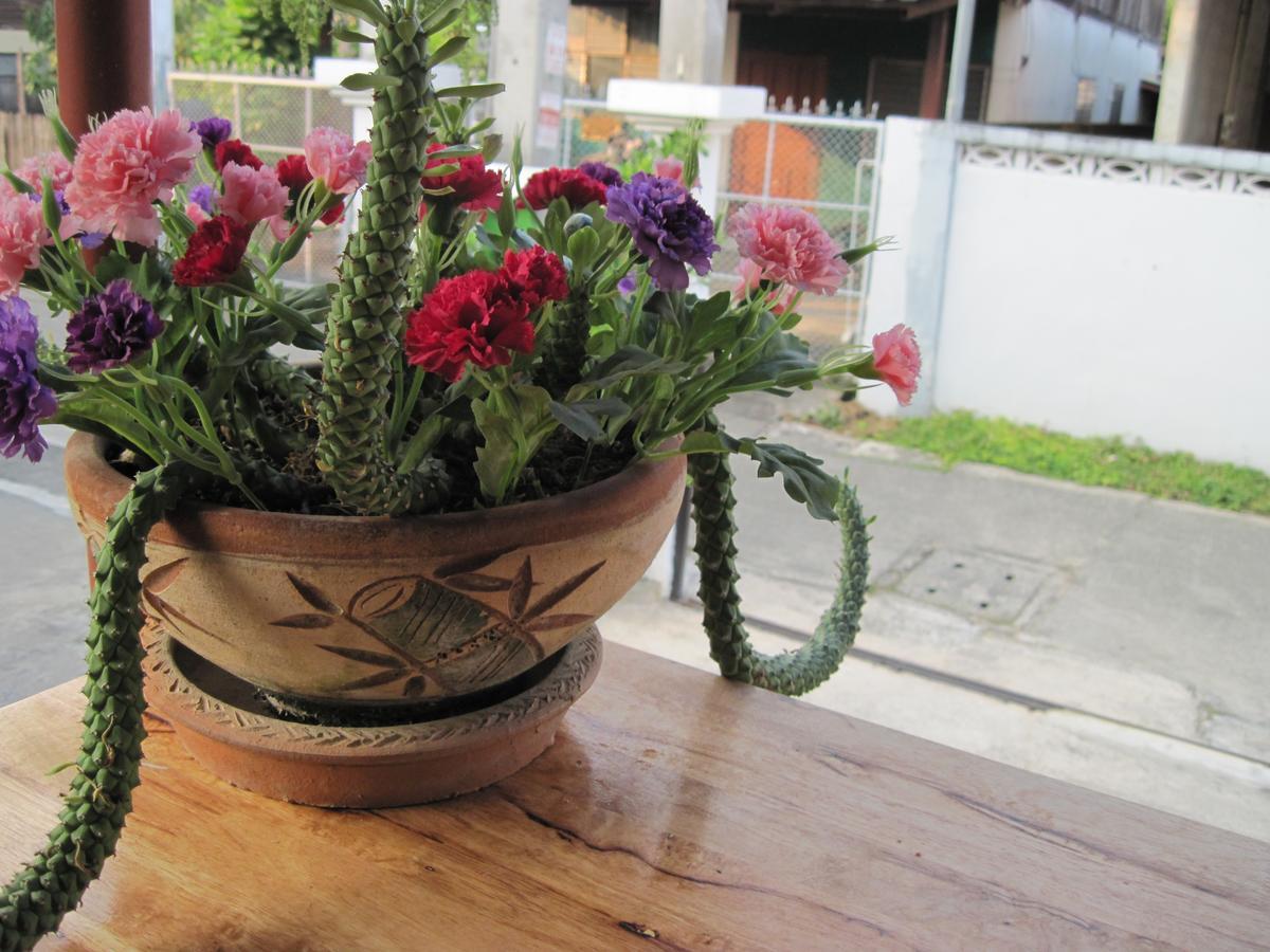 Sakura House Vandrehjem Chiang Mai Eksteriør billede